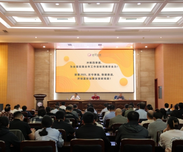 九游老哥必备的交流社区丝绸2024年三季度经济形势剖析会顺遂召开